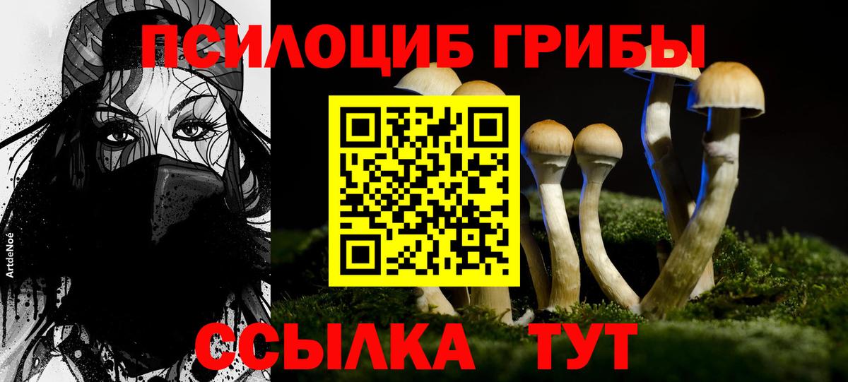 Галлюциногенные грибы прущие грибы Советск